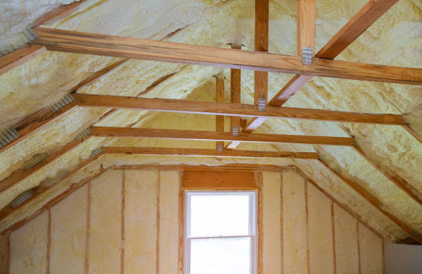 Best Cellulose Insulation  in Ivyland, PA